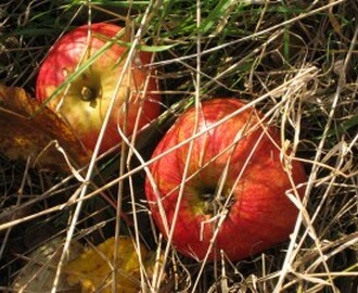 Problem med juicing af æbler