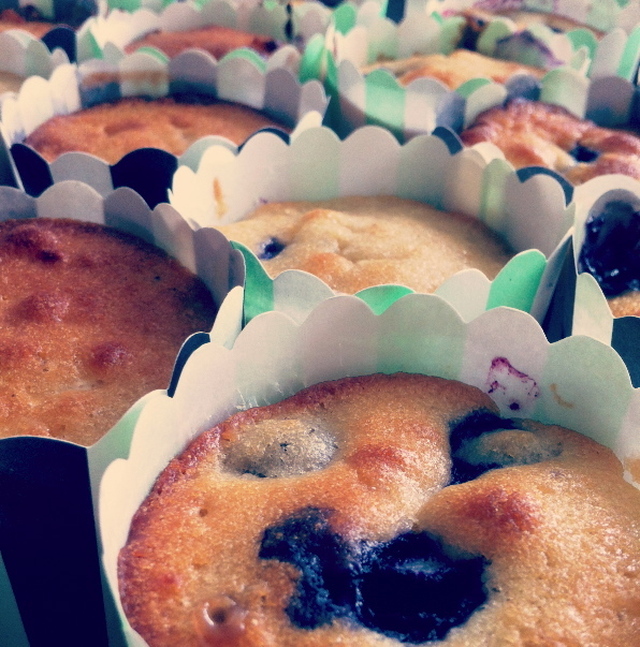 Cupcakes med hvid chokolade, blåbær og vaniljefrosting