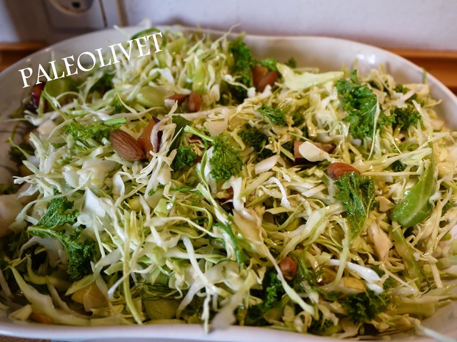 Skøn kål -fennikel salat med super dressing
