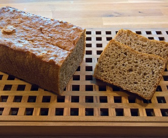 Groft indigo brød