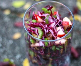Rødkålssalat -  en anderledes og mere fyldig salat end den sædvanlige rødkålssalat