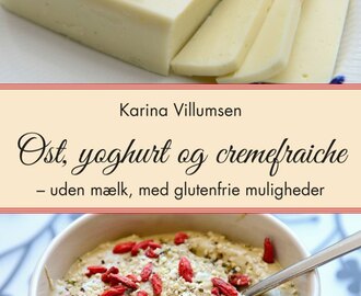 Omtale af ‘Ost, yoghurt og cremefraiche uden mælk’