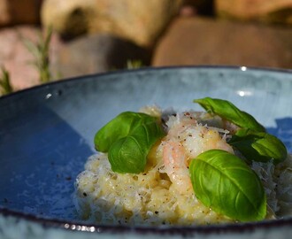 Risotto med pesto og rejer