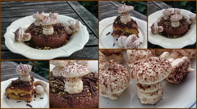 Skovbunds chokoladekage :)
