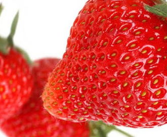 Jordbærmousse med friske jordbær