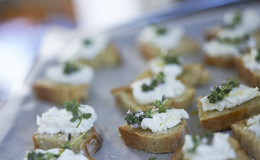 Gedeost Crostini