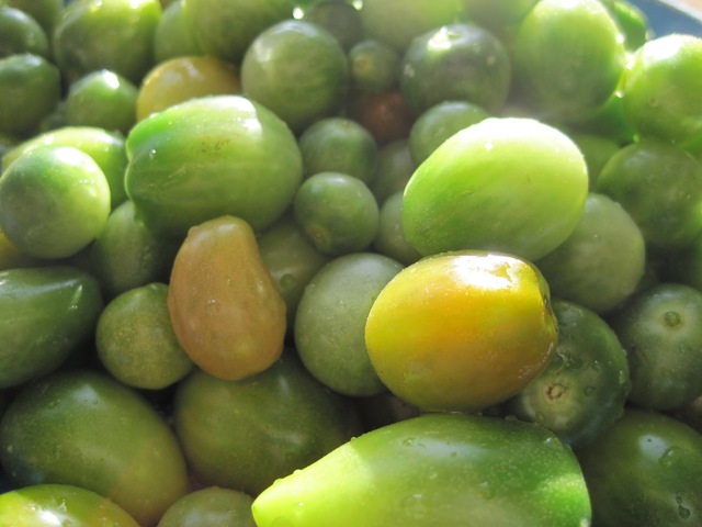 Syltede grønne tomater