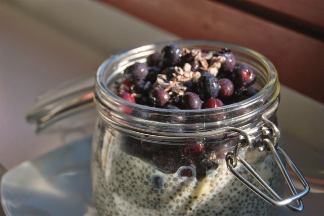 RAW Coconut Blueberry Chia Pudding