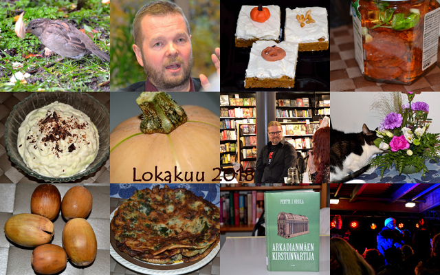 Kuukausikollaasi Lokakuu 2018 - Monthly collage October 2018