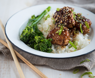 Japanin vuoro – Tsukune-pyörykät