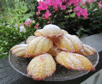 Sitruuna-hunaja madeleinet/ Lemon Honey Madeleines