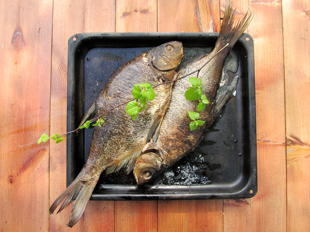 Savupöntön makupala – Smoked Fish