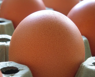 Ilman kananmunia keittiössä - Osa 2: Mitä aineita voidaan käyttää kananmunan tilalla leivonnassa - Kohottaminen?