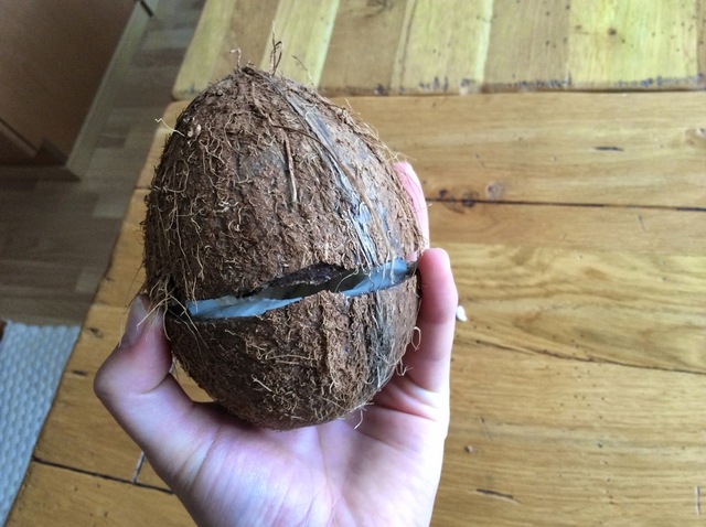 Kuinka saisin rikki kookospähkinän?