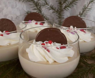 Baileys-pannacotta (8kpl)