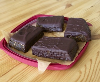 Raw vegan protein bars