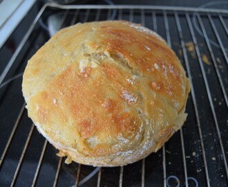 Maailman paras leipä eli kattilaleipä eli no-knead-bread