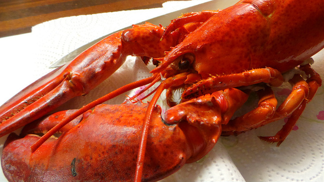 Hurmaavaa hummeria uudeksi vuodeksi - lobster à l'américaine