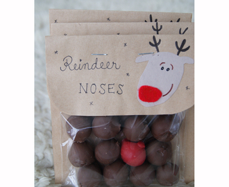 Chocolate Reindeer Noses - Poronnenät