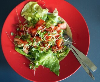 Salaatinkastikekimara eli tämän kesän suosikit. Kerro omasi!