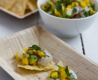 Pikaruokaa – Ceviche