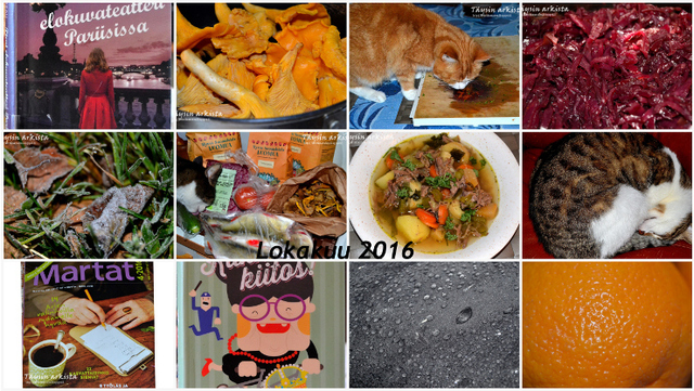 Kuukausikollaasi Lokakuu 2016 - A Month in Collage October 2016