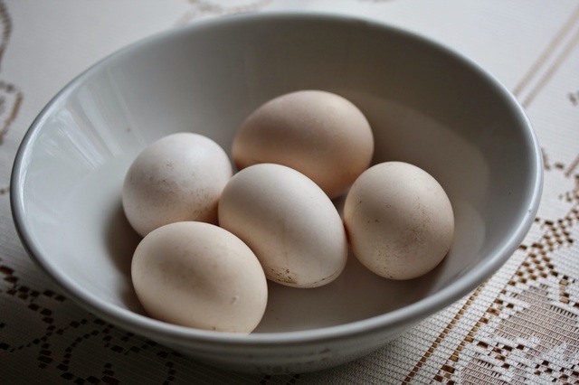 Keimailevat kananmunat