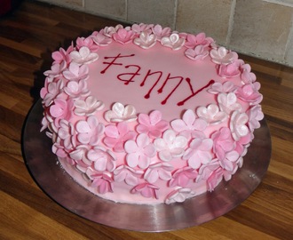 Fannyn 8v kakku