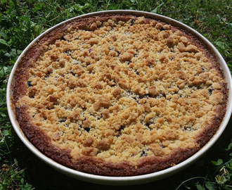 Mustikkamurupiirakka /Blueberry Crumble Pie