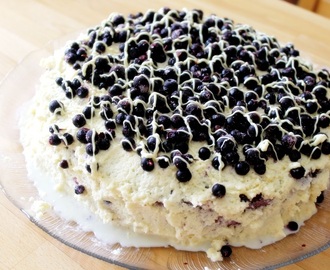 blueberry double chocolate-cake