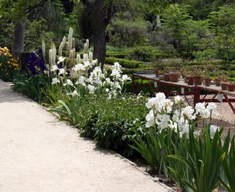 Madrid: Real Jardin Botanica