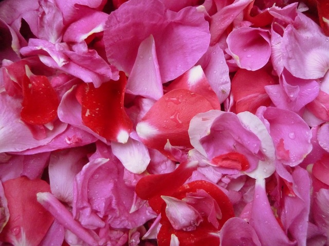 Edible beauty; rose petal jam