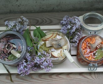 Tre sorters sill,  three kinds of herring, kolmen sortin sillit