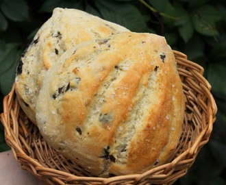 Sienifocaccia - Mushroom focaccia