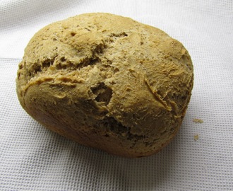 Projekti leipä, osa 3: hapanjuuri tutustui leipäkoneeseen