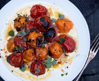 Antaa paahtaa – Ottolenghin paahdetut tomaatit ja jogurttikastike