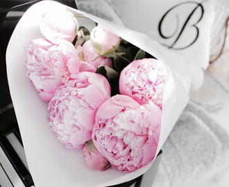 PALE PINK PEONIES