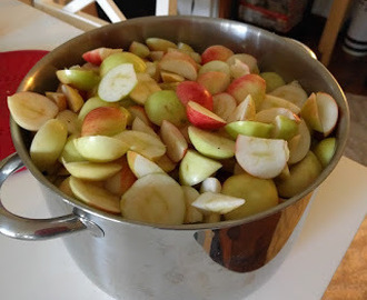 Omenahillon valmistus ilman sokeria