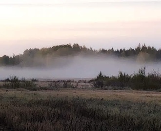 Tunnustuksia aamu-usvassa