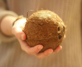 Coconut