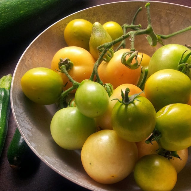 Haikea sadonkorjuu ja säilötyt vihreät tomaatit