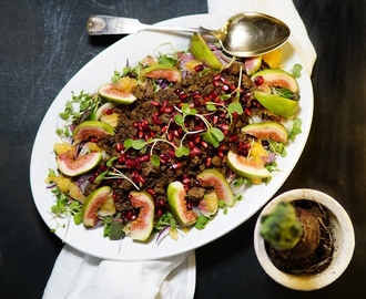 Juhlava Härkissalaatti joulupöytään | Festive vege protein salad