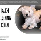 Kaikki elämäni koirat