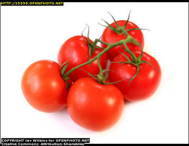 Ovnsbakte tomater