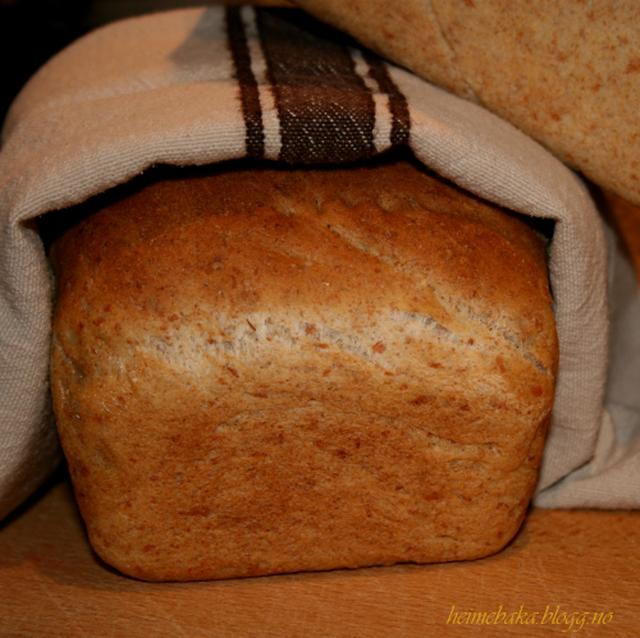 Hjemmebakt brød (Oles frokostbrød)