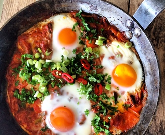 Shakshuka – ovnsbakte egg