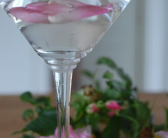 Rosenblads-martini