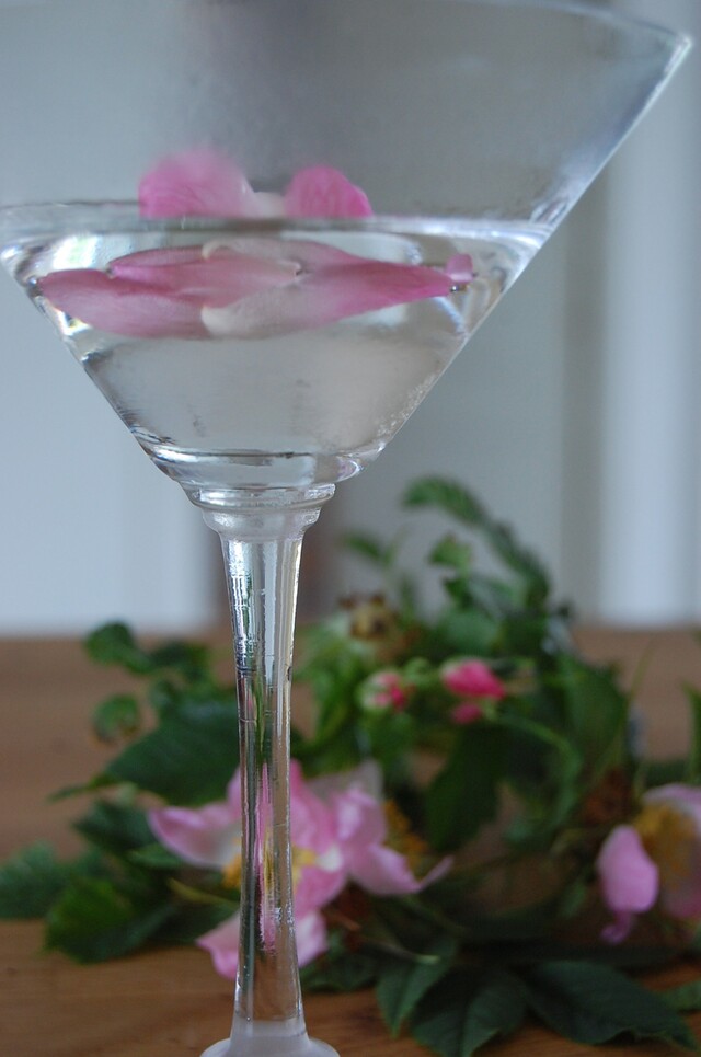 Rosenblads-martini