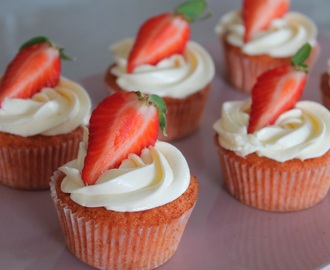 Strawberry daiquiri cupcakes
