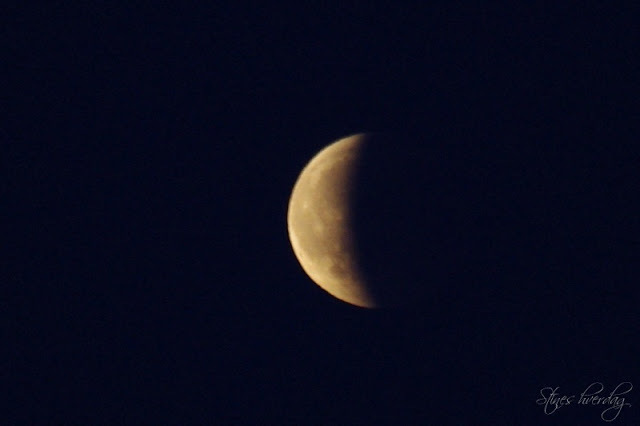 Måneformørkelse - lunar eclipse